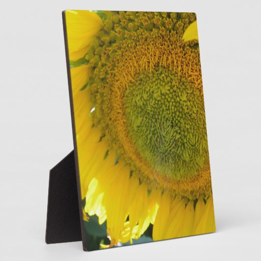 057.JPG FOTOPLATTE (Seite)