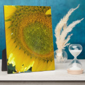 057.JPG FOTOPLATTE (Seite)