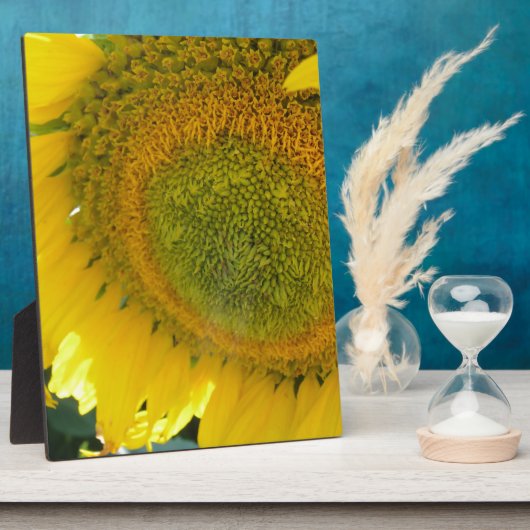 057.JPG FOTOPLATTE (Seite)