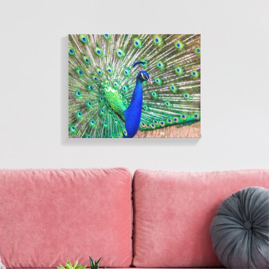 0601-Peacock Leinwanddruck (Insitu (Wohnzimmer))