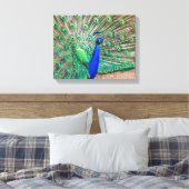 0601-Peacock Leinwanddruck (Insitu (Schlafzimmer))