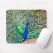 0601-Peacock Mousepad (Mit Mouse)