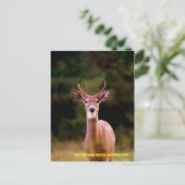 070306-34-APC POSTKARTE (Stehend Vorderseite)