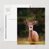 070306-34-APC POSTKARTE (Vorne/Hinten)