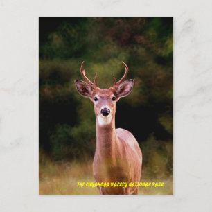 070306-34-APC POSTKARTE