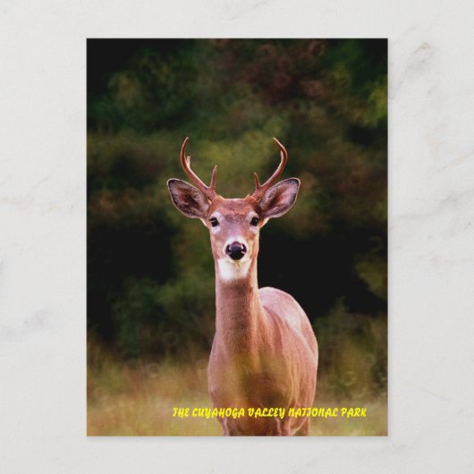 070306-34-APC POSTKARTE (Vorderseite)