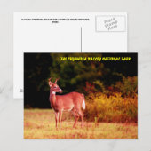 070406-58-APC POSTKARTE (Vorne/Hinten)