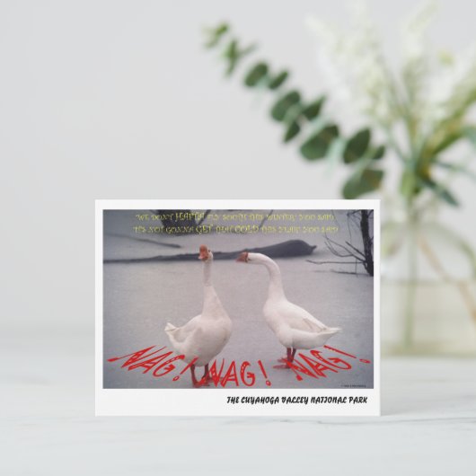 072506-10-APC NAG, NAG, NAG POSTKARTE (Stehend Vorderseite)