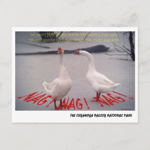 072506-10-APC NAG, NAG, NAG POSTKARTE