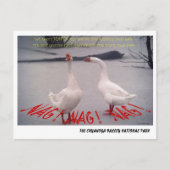 072506-10-APC NAG, NAG, NAG POSTKARTE (Vorderseite)