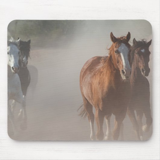 0800-Wild Mustangs Running Mousepad (Vorne)