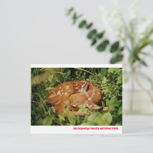 080806-17-APC POSTKARTE (Stehend Vorderseite)