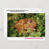 080806-17-APC POSTKARTE (Vorne/Hinten)