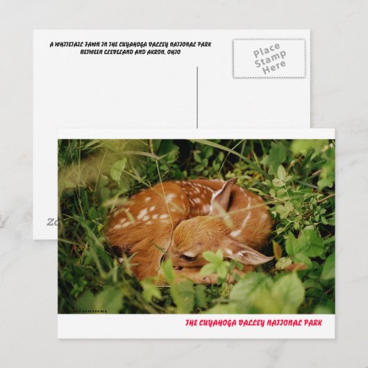 080806-17-APC POSTKARTE (Vorne/Hinten)