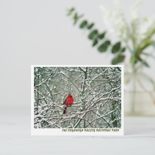 080806-25-APC POSTKARTE (Stehend Vorderseite)