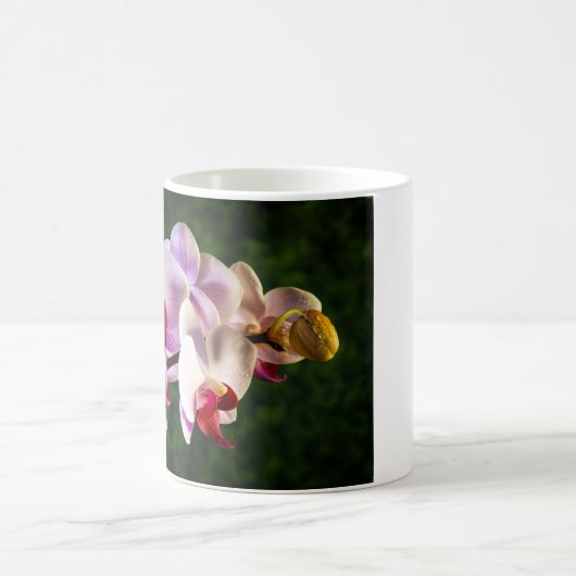 0834-Rosa Orchideen Kaffeetasse (Mittel)