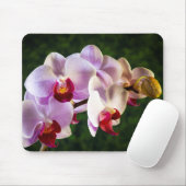 0834-Rosa Orchideen Mousepad (Mit Mouse)