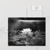 085-Serie1 Postkarte (Vorne/Hinten)