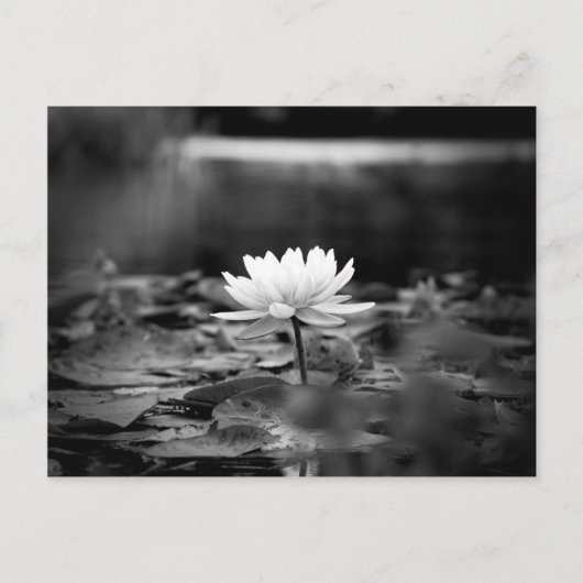 085-Serie1 Postkarte (Vorderseite)