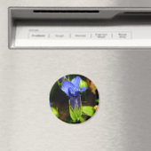 092109-339-00 MAGNET (In Situ (Geschirrspüler))