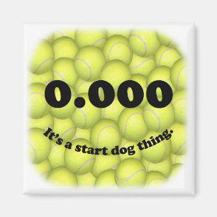 0,000, perfekter Flyball Anfang! Magnet