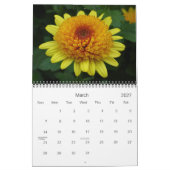 0 2013 Chrysanthemum Art Kalender (Mär 2027)
