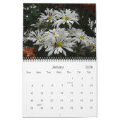 0 2013 Chrysanthemum Art Kalender (Jan 2026)
