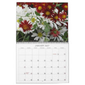 0 2013 Chrysanthemum Color Burst Kalender (Jan 2027)