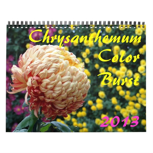 0 2013 Chrysanthemum Color Burst Kalender (Titelbild)