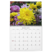 0 2013 Chrysanthemum Color Burst Kalender (Mär 2027)