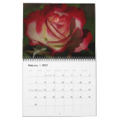 0 2013 prachtvolle Rosen Kalender (Feb 2027)