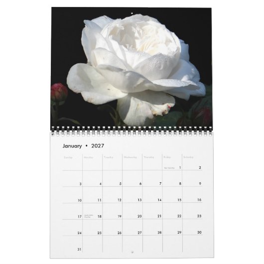 0 2013 prachtvolle Rosen Kalender (Jan 2027)