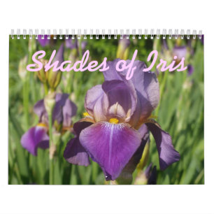 0 2013 Schatten Iris Kalender
