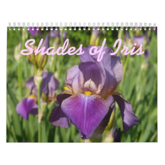 0 2013 Schatten Iris Kalender