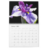 0 2013 Schatten Iris Kalender (Jan 2027)