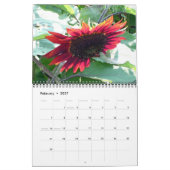 0 2013 Sonnenblumenempfindungen Kalender (Feb 2027)