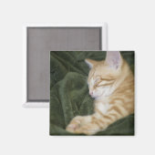 0 2 MAGNET (Vorderseite/Rückseite)