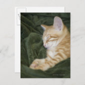 0 2 POSTKARTE (Vorne/Hinten)