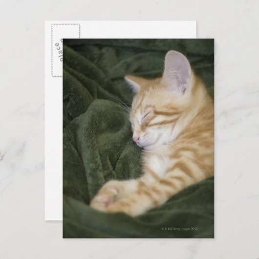 0 2 POSTKARTE (Vorne/Hinten)