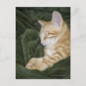 0 2 POSTKARTE (Vorderseite)