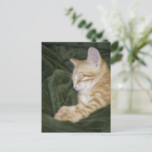 0 2 POSTKARTE (Stehend Vorderseite)