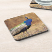 0 3 GETRÄNKEUNTERSETZER (Linke Seite)