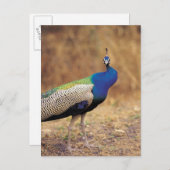 0 3 POSTKARTE (Vorne/Hinten)