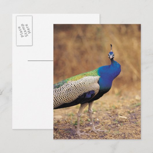 0 3 POSTKARTE (Vorne/Hinten)