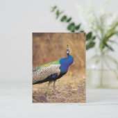 0 3 POSTKARTE (Stehend Vorderseite)