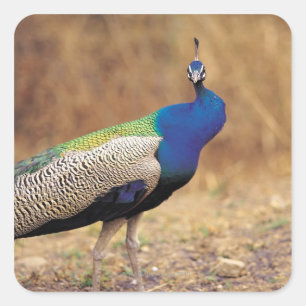 0 3 QUADRATISCHER AUFKLEBER