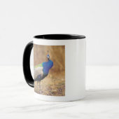 0 3 TASSE (Vorderseite Links)