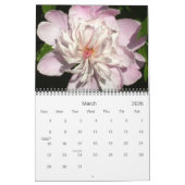 0 Hübsche Volkswirtschaften 2013 Kalender (Mär 2026)