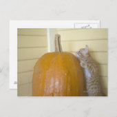 0 POSTKARTE (Vorne/Hinten)