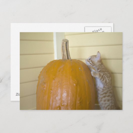 0 POSTKARTE (Vorne/Hinten)